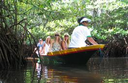 mangrove tour in lembongan island, lembongan fast boat, nusa lembongan, lembongan beach